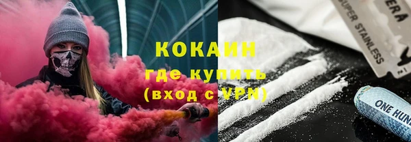 шишки Алексин