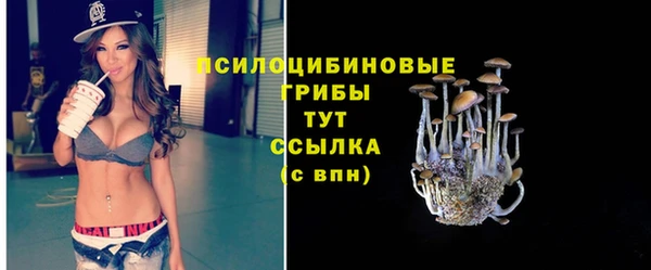гидропоника Алзамай