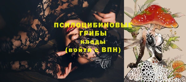 гидропоника Алзамай