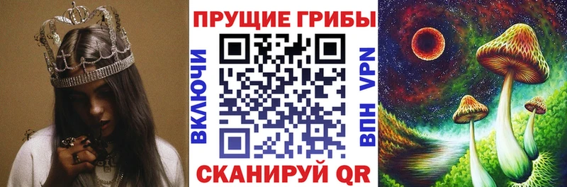 Псилоцибиновые грибы GOLDEN TEACHER  Берёзовский 